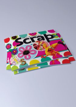 6201-A4-Scrapbook-Orindary-Pin-copy